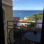 Ulivo 3*