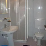 Ulivo 3* Ντιάνο Μαρίνα