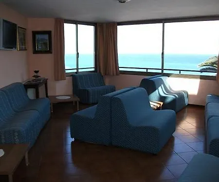 Ulivo Diano Marina