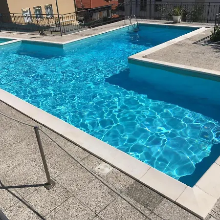 Ulivo Diano Marina